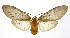  ( - 19-BAES-00105)  @11 [ ] CreativeCommons - Attribution Non-Commercial Share-Alike (2022) Bernardo Espinoza Guanacaste Dry Forest Conservation Fund