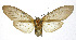  ( - 19-BAES-00105)  @11 [ ] CreativeCommons - Attribution Non-Commercial Share-Alike (2022) Bernardo Espinoza Guanacaste Dry Forest Conservation Fund