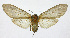  ( - 19-BAES-00106)  @11 [ ] CreativeCommons - Attribution Non-Commercial Share-Alike (2022) Bernardo Espinoza Guanacaste Dry Forest Conservation Fund