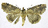  ( - 19-BAES-00147)  @11 [ ] CreativeCommons - Attribution Non-Commercial Share-Alike (2022) Bernardo Espinoza Guanacaste Dry Forest Conservation Fund