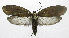  ( - 19-BAES-00155)  @11 [ ] CreativeCommons - Attribution Non-Commercial Share-Alike (2022) Bernardo Espinoza Guanacaste Dry Forest Conservation Fund