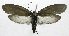  ( - 19-BAES-00155)  @11 [ ] CreativeCommons - Attribution Non-Commercial Share-Alike (2022) Bernardo Espinoza Guanacaste Dry Forest Conservation Fund