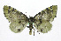  ( - 19-BAES-00243)  @11 [ ] CreativeCommons - Attribution Non-Commercial Share-Alike (2022) Bernardo Espinoza Guanacaste Dry Forest Conservation Fund