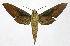  ( - 19-BAES-00252)  @11 [ ] CreativeCommons - Attribution Non-Commercial Share-Alike (2022) Bernardo Espinoza Guanacaste Dry Forest Conservation Fund