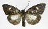  ( - 19-BAES-00353)  @11 [ ] CreativeCommons - Attribution Non-Commercial Share-Alike (2022) Bernardo Espinoza Guanacaste Dry Forest Conservation Fund