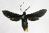  ( - 19-BAES-00379)  @11 [ ] CreativeCommons - Attribution Non-Commercial Share-Alike (2022) Bernardo Espinoza Guanacaste Dry Forest Conservation Fund