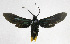  ( - 19-BAES-00379)  @11 [ ] CreativeCommons - Attribution Non-Commercial Share-Alike (2022) Bernardo Espinoza Guanacaste Dry Forest Conservation Fund