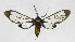  ( - 19-BAES-00448)  @11 [ ] CreativeCommons - Attribution Non-Commercial Share-Alike (2022) Bernardo Espinoza Guanacaste Dry Forest Conservation Fund