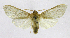  ( - 19-BAES-00791)  @11 [ ] CreativeCommons - Attribution Non-Commercial Share-Alike (2022) Bernardo Espinoza Guanacaste Dry Forest Conservation Fund
