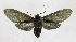  ( - 19-BAES-00799)  @11 [ ] CreativeCommons - Attribution Non-Commercial Share-Alike (2022) Bernardo Espinoza Guanacaste Dry Forest Conservation Fund