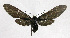  ( - 19-BAES-00900)  @11 [ ] CreativeCommons - Attribution Non-Commercial Share-Alike (2022) Bernardo Espinoza Guanacaste Dry Forest Conservation Fund