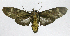  ( - 20-BAES-01292)  @11 [ ] CreativeCommons - Attribution Non-Commercial Share-Alike (2022) Bernardo Espinoza Guanacaste Dry Forest Conservation Fund