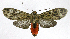  ( - 20-BAES-01294)  @11 [ ] CreativeCommons - Attribution Non-Commercial Share-Alike (2022) Bernardo Espinoza Guanacaste Dry Forest Conservation Fund