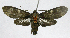  ( - 20-BAES-01295)  @11 [ ] CreativeCommons - Attribution Non-Commercial Share-Alike (2022) Bernardo Espinoza Guanacaste Dry Forest Conservation Fund