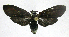  ( - 20-BAES-01320)  @11 [ ] CreativeCommons - Attribution Non-Commercial Share-Alike (2022) Bernardo Espinoza Guanacaste Dry Forest Conservation Fund