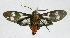  ( - 20-BAES-01355)  @11 [ ] CreativeCommons - Attribution Non-Commercial Share-Alike (2022) Bernardo Espinoza Guanacaste Dry Forest Conservation Fund