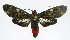  ( - 20-BAES-01455)  @11 [ ] CreativeCommons - Attribution Non-Commercial Share-Alike (2022) Bernardo Espinoza Guanacaste Dry Forest Conservation Fund