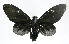  ( - 21-BAES-01577)  @11 [ ] CreativeCommons Attribution NonCommercial ShareAlike (2022) Bernardo Espinoza Guanacaste Dry Forest Conservation Fund