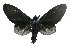  ( - 21-BAES-01579)  @11 [ ] CreativeCommons Attribution NonCommercial ShareAlike (2022) Bernardo Espinoza Guanacaste Dry Forest Conservation Fund