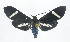  ( - 21-BAES-01817)  @11 [ ] CreativeCommons - Attribution Non-Commercial Share-Alike (2023) Bernardo Espinoza Guanacaste Dry Forest Conservation Fund
