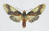 ( - 21-BAES-01866)  @11 [ ] CreativeCommons - Attribution Non-Commercial Share-Alike (2023) Bernardo Espinoza Guanacaste Dry Forest Conservation Fund