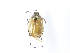  ( - ASolis000522)  @11 [ ] CreativeCommons Attribution NonCommercial ShareAlike (2021) Angel Solis BioAlfa