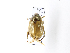  ( - ASolis000526)  @11 [ ] CreativeCommons Attribution NonCommercial ShareAlike (2021) Angel Solis BioAlfa