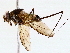  ( - BIOUG76520-B02)  @11 [ ] CreativeCommons - Attribution (2022) CBG Photography Group Centre for Biodiversity Genomics