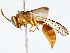  ( - BIOUG76520-D02)  @11 [ ] CreativeCommons - Attribution (2022) CBG Photography Group Centre for Biodiversity Genomics