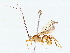  ( - BIOUG76520-D04)  @11 [ ] CreativeCommons - Attribution (2022) CBG Photography Group Centre for Biodiversity Genomics