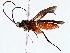  ( - BIOUG76520-D05)  @11 [ ] CreativeCommons - Attribution (2022) CBG Photography Group Centre for Biodiversity Genomics