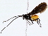  ( - BIOUG76520-D10)  @11 [ ] CreativeCommons - Attribution (2022) CBG Photography Group Centre for Biodiversity Genomics