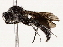  ( - BIOUG76521-A02)  @11 [ ] CreativeCommons - Attribution (2022) CBG Photography Group Centre for Biodiversity Genomics
