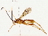  ( - BIOUG76521-B07)  @11 [ ] CreativeCommons - Attribution (2022) CBG Photography Group Centre for Biodiversity Genomics