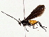  ( - BIOUG76521-F06)  @14 [ ] CreativeCommons - Attribution (2022) CBG Photography Group Centre for Biodiversity Genomics