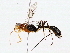  ( - BIOUG76522-B01)  @11 [ ] CreativeCommons - Attribution (2022) CBG Photography Group Centre for Biodiversity Genomics