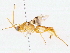  ( - BIOUG76522-B05)  @11 [ ] CreativeCommons - Attribution (2022) CBG Photography Group Centre for Biodiversity Genomics