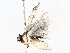  ( - BIOUG76523-F08)  @11 [ ] CreativeCommons - Attribution (2022) CBG Photography Group Centre for Biodiversity Genomics