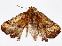  ( - BIOUG76523-G07)  @11 [ ] CreativeCommons - Attribution (2022) CBG Photography Group Centre for Biodiversity Genomics