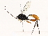  ( - BIOUG76524-D04)  @11 [ ] CreativeCommons - Attribution (2022) CBG Photography Group Centre for Biodiversity Genomics
