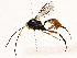  ( - BIOUG76524-D06)  @11 [ ] CreativeCommons - Attribution (2022) CBG Photography Group Centre for Biodiversity Genomics
