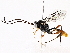  ( - BIOUG76524-D10)  @11 [ ] CreativeCommons - Attribution (2022) CBG Photography Group Centre for Biodiversity Genomics