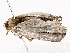  ( - BIOUG76524-E11)  @11 [ ] CreativeCommons - Attribution (2022) CBG Photography Group Centre for Biodiversity Genomics