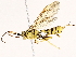  ( - BIOUG76525-D01)  @11 [ ] CreativeCommons - Attribution (2022) CBG Photography Group Centre for Biodiversity Genomics