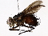  ( - BIOUG76525-E11)  @13 [ ] CreativeCommons - Attribution (2022) CBG Photography Group Centre for Biodiversity Genomics