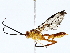  ( - BIOUG76526-D09)  @11 [ ] CreativeCommons - Attribution (2022) CBG Photography Group Centre for Biodiversity Genomics
