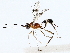  ( - BIOUG76526-F09)  @11 [ ] CreativeCommons - Attribution (2022) CBG Photography Group Centre for Biodiversity Genomics