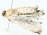  ( - BIOUG76527-B10)  @11 [ ] CreativeCommons - Attribution (2022) CBG Photography Group Centre for Biodiversity Genomics