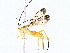  ( - BIOUG76552-C10)  @11 [ ] CreativeCommons - Attribution (2022) CBG Photography Group Centre for Biodiversity Genomics