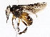  ( - BIOUG76552-D07)  @11 [ ] CreativeCommons - Attribution (2022) CBG Photography Group Centre for Biodiversity Genomics